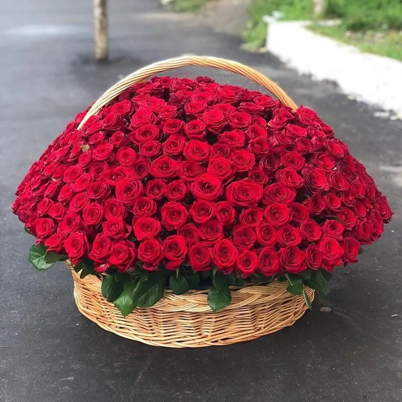 301 роза в корзине