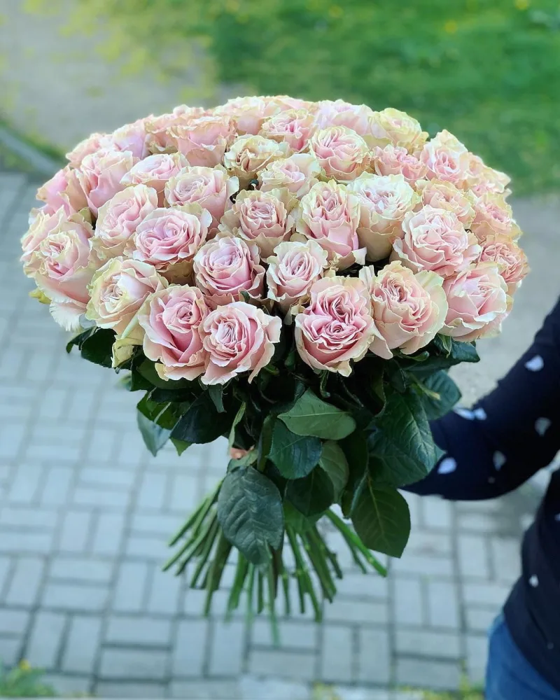 Букет из 51 розы "Пинк Мондиаль" 50 см