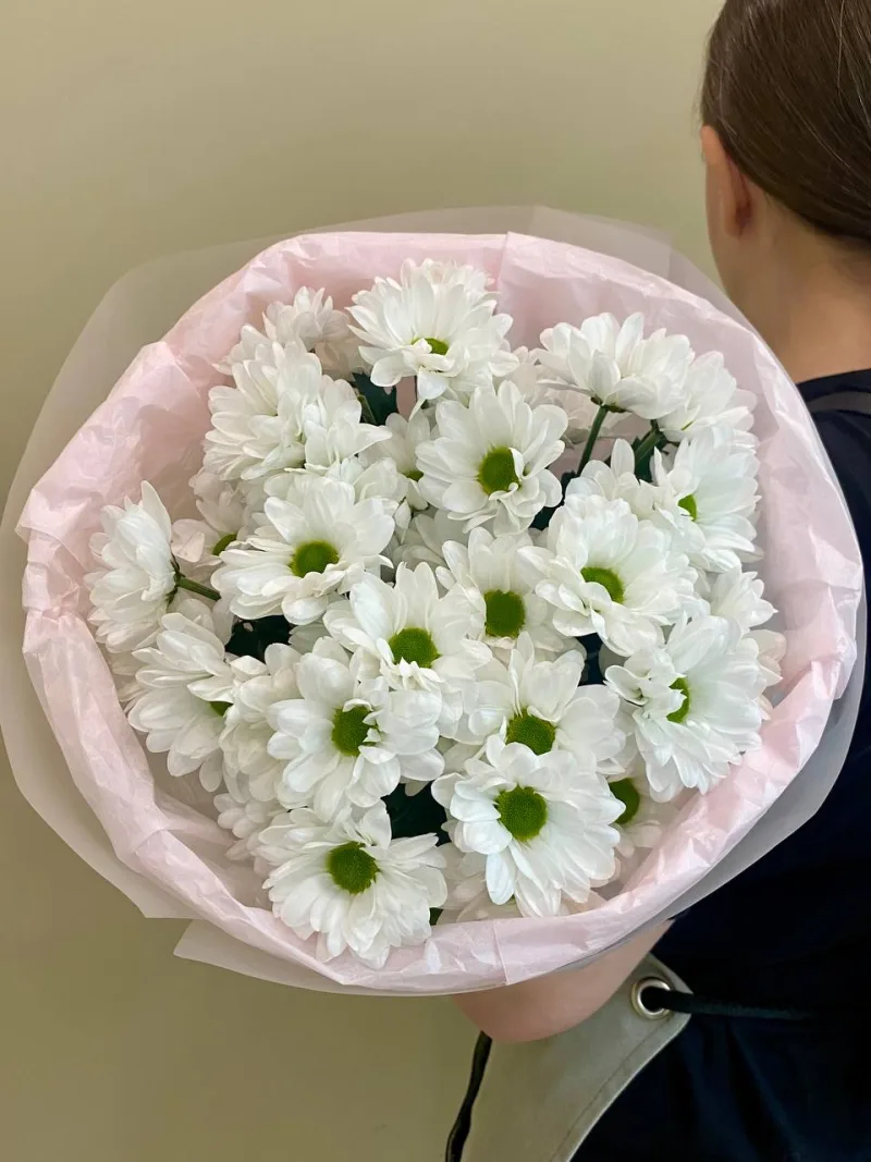Букет из кустовых хризантем "Бакарди" S