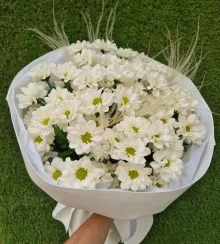 Букет из ромашковой хризантемы 