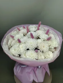 Хризантема и лагурус